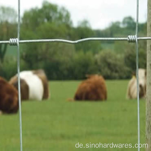 Heiße getauchtes verzinktes Fixed Knoten -Grasland oder landwirtschaftliche Feld Rinder Schafziegenziegennetznetze Netting Tierzäune